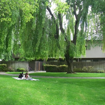 Casitas - Grounds at Casitas - Apartments Near Me - Davis, California