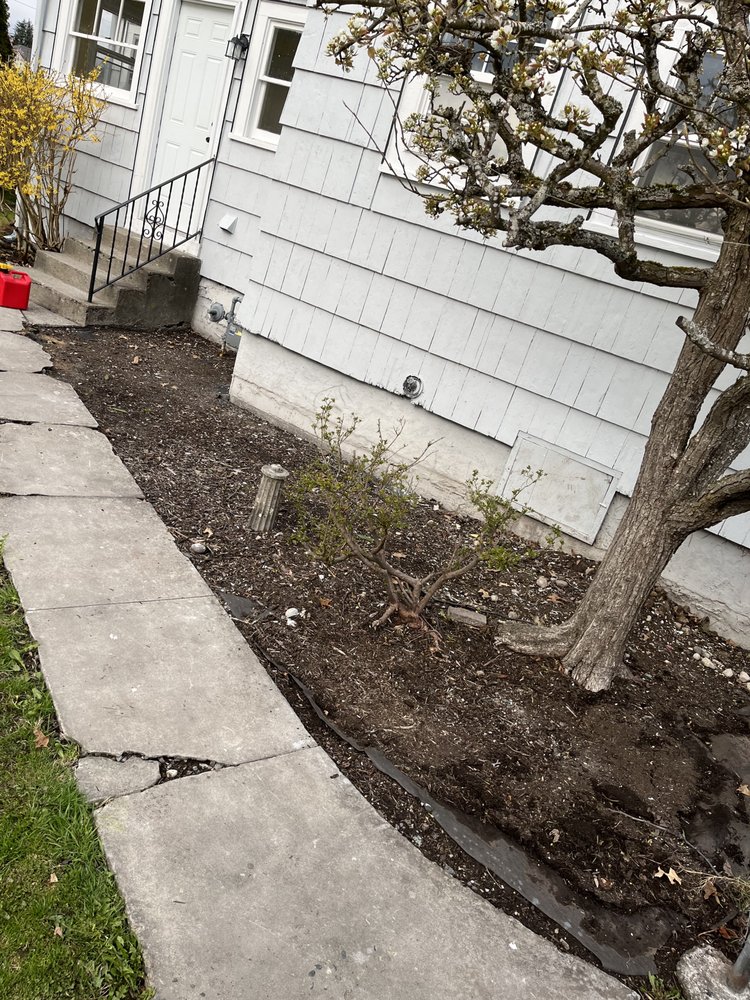 DAVID LANDSCAPING Updated October 2024 53 Photos Seattle