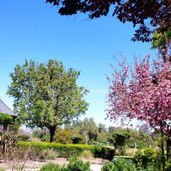 Heather Farm Park