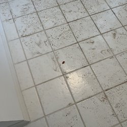 This is how they left our laundry room Just left we were outdoors moving in before we could check they were gone !!!!