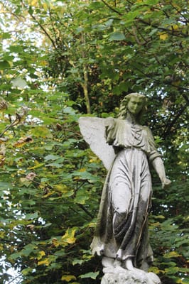 Abney Park Cemetery Trust by null