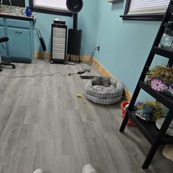 Kim's Klassic Kuts