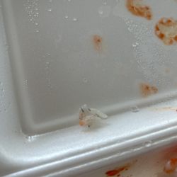Hibachi Express
