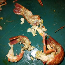 Manhattan Seafood & Meat Market - Old falling apart...this wasnt cooked today.