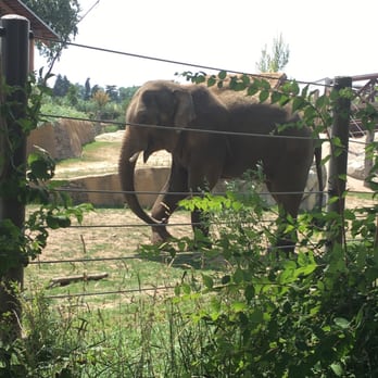 Denver Zoo - Zoos Near Me - Denver, Colorado Denver Zoo - Zoos Near Me - Denver, Colorado