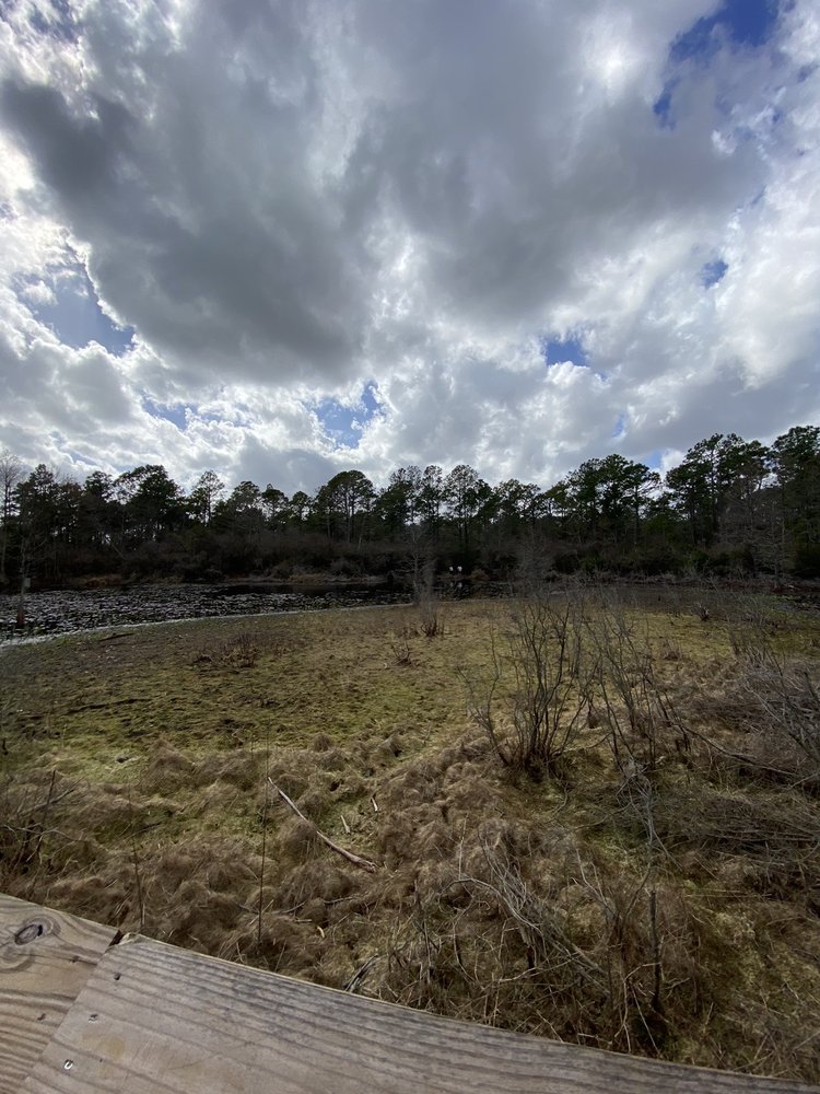 Halyburton Park Image