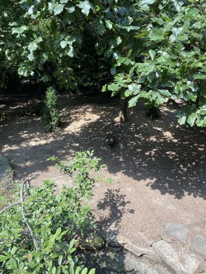 Prospect Park Zoo by null