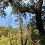Photo of Trail des 3 Dauphins