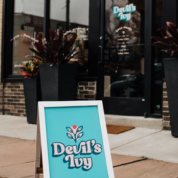 Devil’s Ivy - Home Decor Near Me - Denver, Colorado