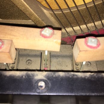 Raleigh Piano Tuning - Fixing a "Squeaky" pedal. - Piano Services Near Me - Raleigh, North Carolina Raleigh Piano Tuning - Fixing a "Squeaky" pedal. - Piano Services Near Me - Raleigh, North Carolina