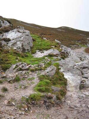 Croagh Patrick by null