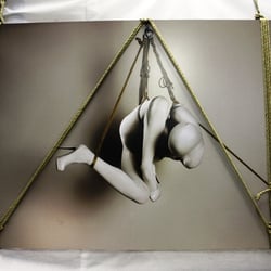 London Festival of the Art of Japanese Bondage - London Festival of the Art of Japanese Bondage 2009