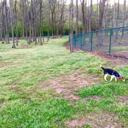 The dog park is great!  Divided for over and under 30lbs