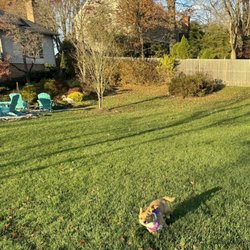 Evergreen Fence & Deck