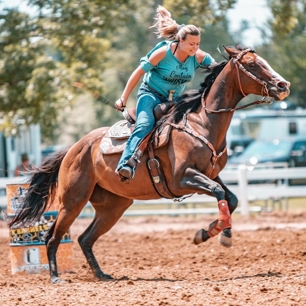 6.7 Ranch - equestrian in Ceresco, MI