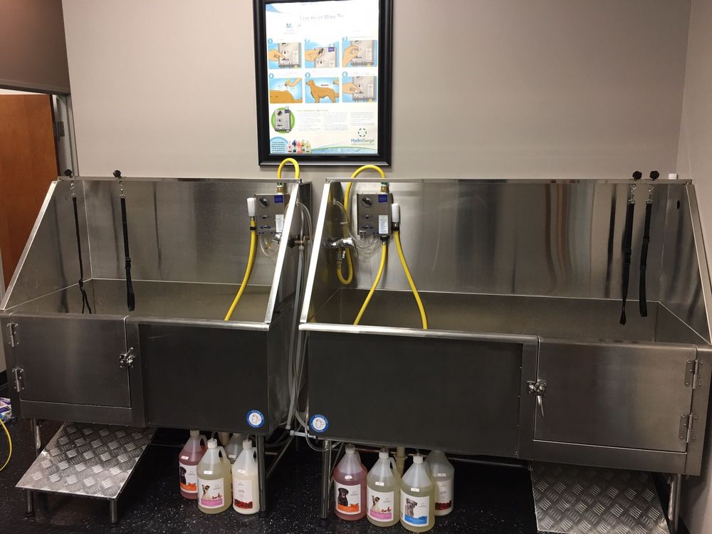 OLLIE’S CANINE CAMPUS Updated October 2024 480 W Honey Creek Dr