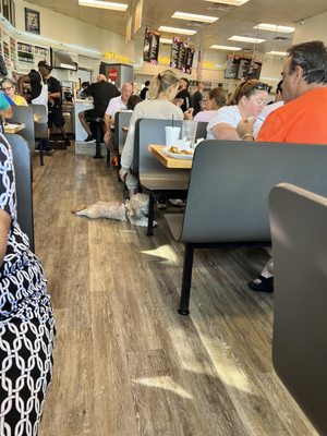 Bagel Bar East by null