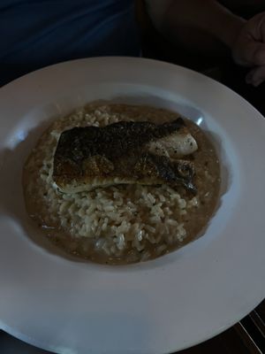 La Concheria by null