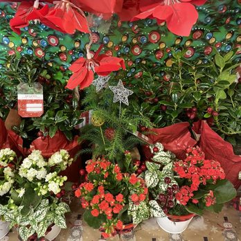 Publix - Flowers - Grocery Near Me - Kissimmee, Florida Publix - Flowers - Grocery Near Me - Kissimmee, Florida