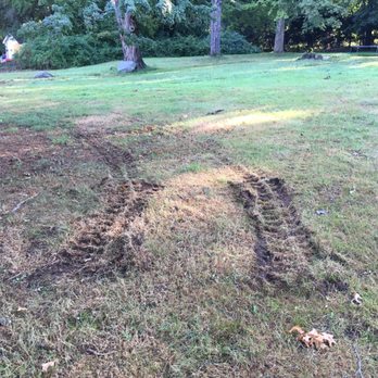 Harkness Tree Services - More damage - Tree Services Near Me - Bethany, Connecticut Harkness Tree Services - More damage - Tree Services Near Me - Bethany, Connecticut