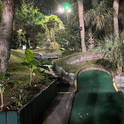 Jungle Lagoon