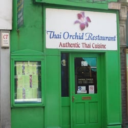 thai orchid