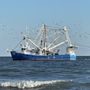 Photo of Barnacle Bill's Fresh Seafood Market