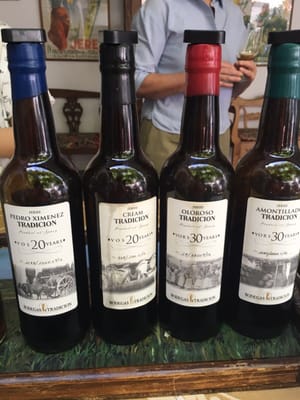 Bodegas Tradicion by null