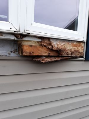 Polestar Handyman Services