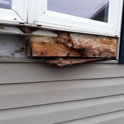 Polestar Handyman Services