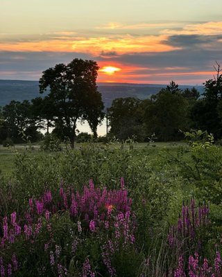 Grist Iron Brewing Company by null