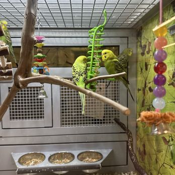 PetSmart - Pet Training Near Me - Elk River, Minnesota PetSmart - Pet Training Near Me - Elk River, Minnesota