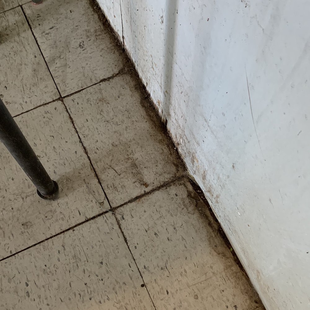 Rain Drop Laundry - Filthy floors - Laundromat Near Me - Albany, Oregon Rain Drop Laundry - Filthy floors - Laundromat Near Me - Albany, Oregon