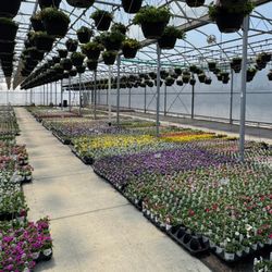 Garden Crossings - One of our many greenhouses where we grow our plants
