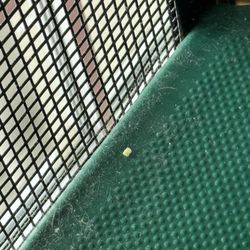 McDonald's - Dust inside the play ground