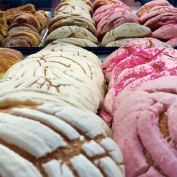 Conchas
