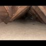 Photo of Bryant's Insulation