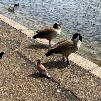 Hyde Park - Parks Near Me