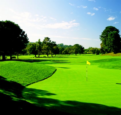 Peacock Gap Golf Club by null