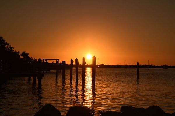 Mangrove Marina by null