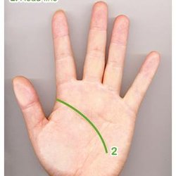 Carole's Palmistry Plus