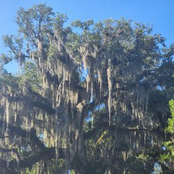 White City Park - Beautiful Oaks on both banks giving the olde Florida feel