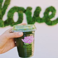 SunLife Organics - The Green Juice, Made with Spinach | Celery | Kale | Cucumber