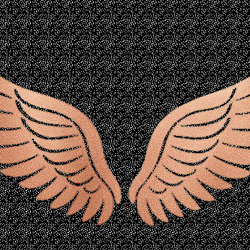 Angel Wings Luxury Healthcare