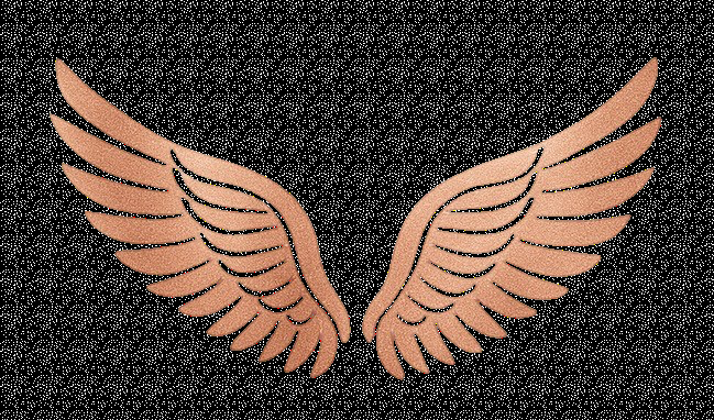 Angel Wings Luxury Healthcare - home care agency in Houston, TX