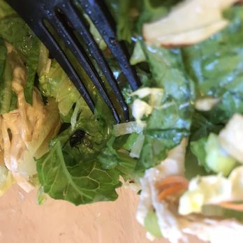 Croutons - Fly in my salad - Sandwiches Near Me - Irvine, California