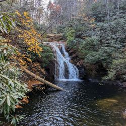 High Shoals Falls Loop Trail - Blue Hole Falls | Instagram: @telephonesmoothie