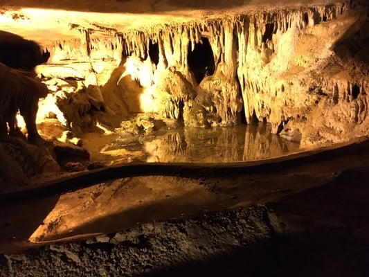 Raccoon Mountain Caverns and Campground by null