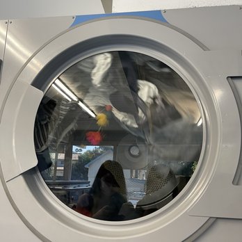 Sierra Madre Laundry - Drying - Laundry Services Near Me - Sierra Madre, California Sierra Madre Laundry - Drying - Laundry Services Near Me - Sierra Madre, California