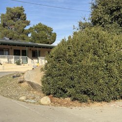 Barewood Inn & Suites - Outside view